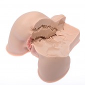 Мастурбатор-полуторс Naked Factory Kate - Naked Factory - в Пушкино купить с доставкой