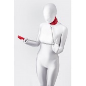 Красный ошейник с подкладкой из меха - ToyFa - купить с доставкой в Пушкино