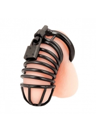 Черная металлическая клетка с замком Deluxe Chastity Cage - BlueLine - купить с доставкой в Пушкино