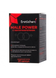 Капсулы для мужчин Erotichard male power с пантогематогеном - 20 капсул (0,370 гр.) - Erotic Hard - купить с доставкой в Пушкино