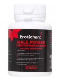 Капсулы для мужчин Erotichard male power с пантогематогеном - 20 капсул (0,370 гр.) - Erotic Hard - купить с доставкой в Пушкино