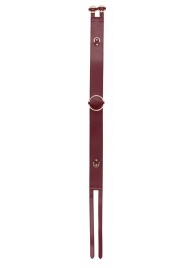 Бордовый ремень Halo Waist Belt - размер L-XL - Shots Media BV - купить с доставкой в Пушкино