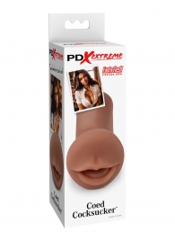 Мастурбатор-ротик Coed Cocksucker - Pipedream - в Пушкино купить с доставкой
