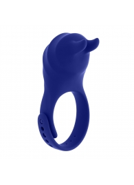 Синее эрекционное виброкольцо с клиторальной подушечкой и пультом ДУ Adjustable Fun Ring - Zero Tolerance - в Пушкино купить с доставкой