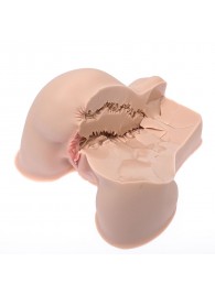 Мастурбатор-полуторс Naked Factory Kate - Naked Factory - в Пушкино купить с доставкой