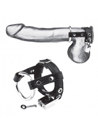 Утяжка на пенис на замочке Duo Cock And Ball Lock - BlueLine - купить с доставкой в Пушкино