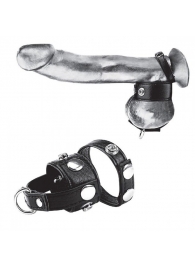 Утяжка для мошонки и пениса Cock Ring With 1  Ball Stretcher And Optional Weight Ring - BlueLine - купить с доставкой в Пушкино