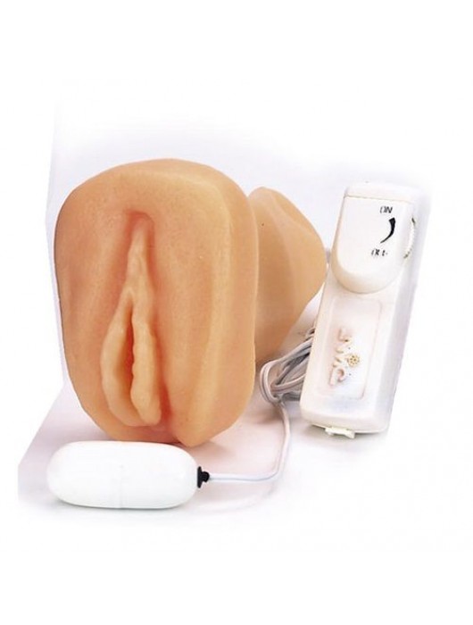 Мастурбатор-вагина с вибрацией ELLY POCKET PAL VAGINA MULTISPEED - NMC - в Пушкино купить с доставкой