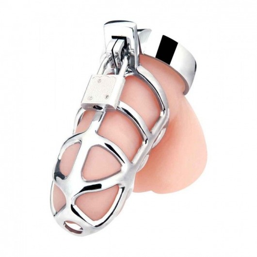 Серебристая металлическая клетка для члена с замком Enslave Cock Cage - BlueLine - купить с доставкой в Пушкино