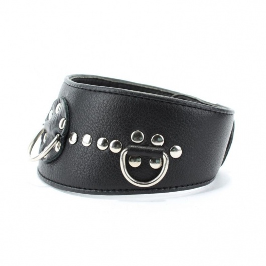 Чёрный кожаный ошейник с полукольцами и клёпками - БДСМ Арсенал - купить с доставкой в Пушкино