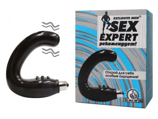 Чёрный массажёр простаты серии Sex Expert - Sex Expert - в Пушкино купить с доставкой