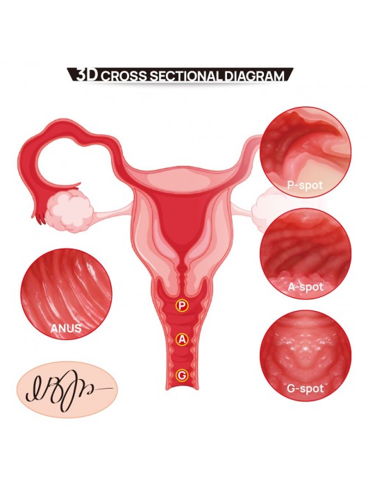 Мастурбатор-полуторс с двойным слоем материала Vanilla Onahole Real Vagina - KOKOS - в Пушкино купить с доставкой