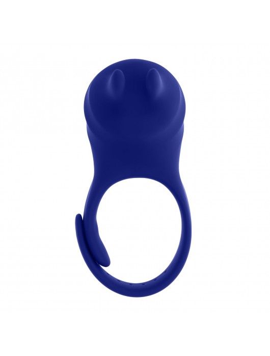 Синее эрекционное виброкольцо с клиторальной подушечкой и пультом ДУ Adjustable Fun Ring - Zero Tolerance - в Пушкино купить с доставкой