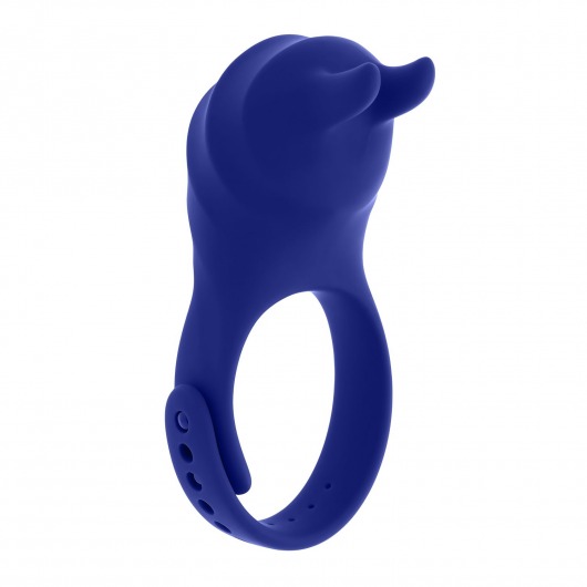 Синее эрекционное виброкольцо с клиторальной подушечкой и пультом ДУ Adjustable Fun Ring - Zero Tolerance - в Пушкино купить с доставкой