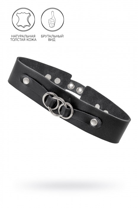 Черный чокер-ошейник со связанными кольцами на подложке - Pecado - купить с доставкой в Пушкино