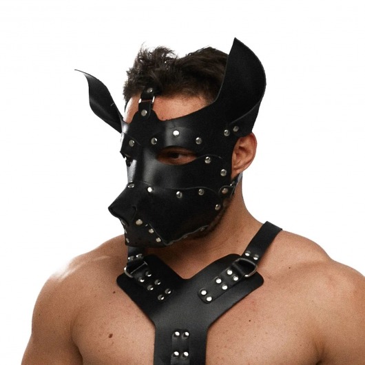 Черная кожаная маска «Собака» - Crazy Handmade - купить с доставкой в Пушкино