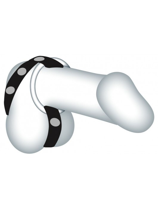 Подхват для мошонки с 3 съемными эрекционными кольцами Leder-Riemen - Orion - в Пушкино купить с доставкой