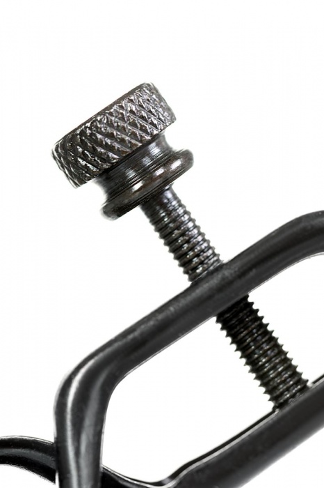 Черно-золотистые зажимы для сосков TOYFA Theatre - ToyFa - купить с доставкой в Пушкино